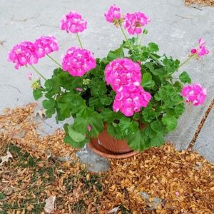 Meet your Posher, Lori